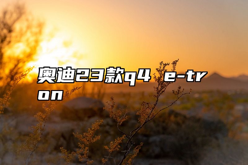 奥迪23款q4 e-tron