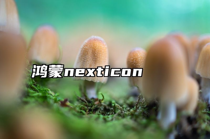 鸿蒙nexticon