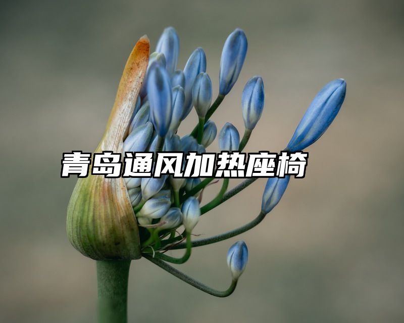青岛通风加热座椅