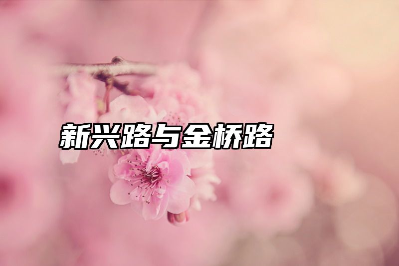 新兴路与金桥路