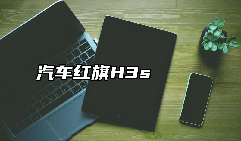 汽车红旗H3s