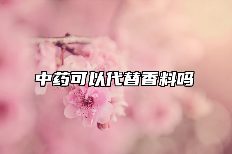 中药可以代替香料吗