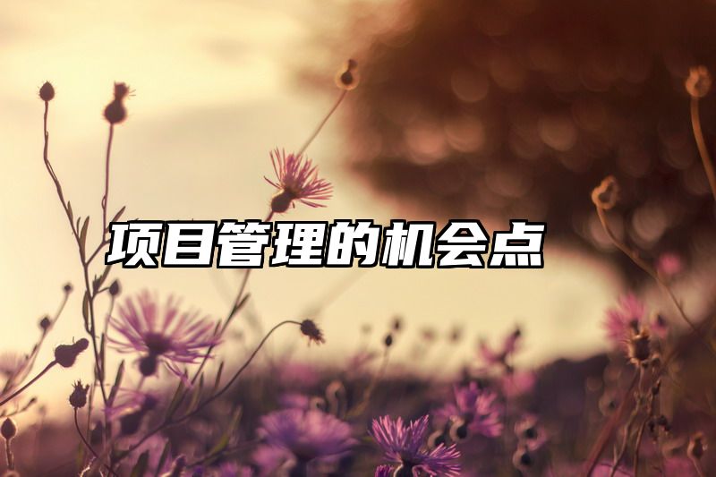 项目管理的机会点