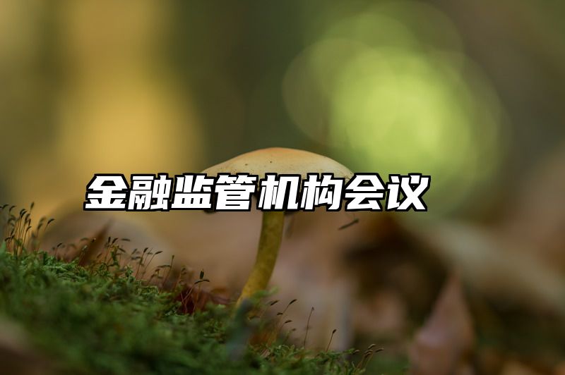 金融监管机构会议