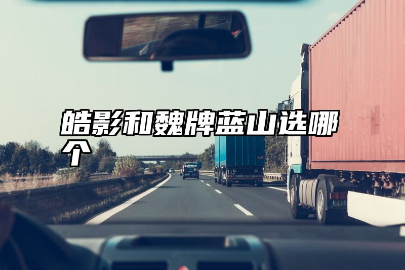 皓影和魏牌蓝山选哪个
