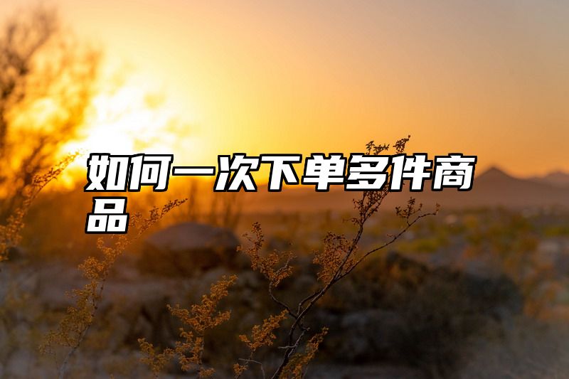 如何一次下单多件商品