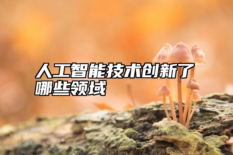人工智能技术创新了哪些领域