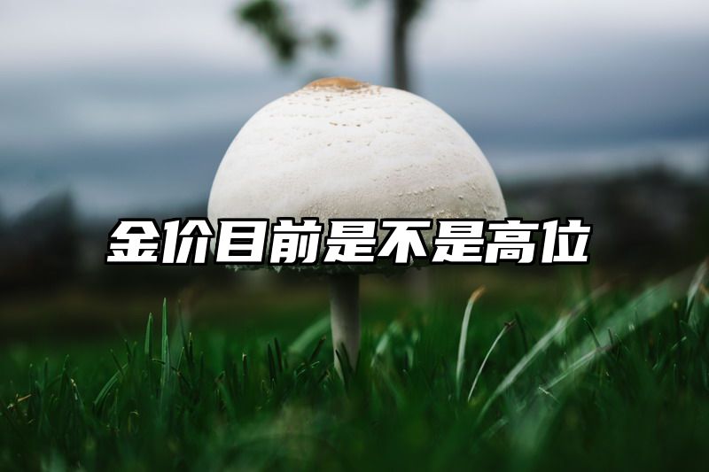 金价目前是不是高位