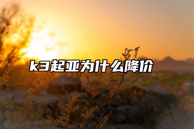 k3起亚为什么降价