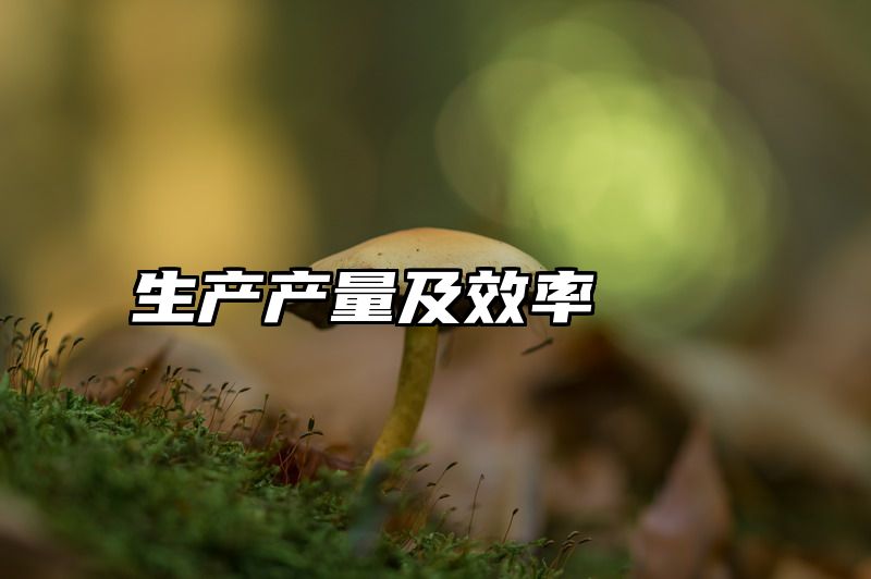 生产产量及效率