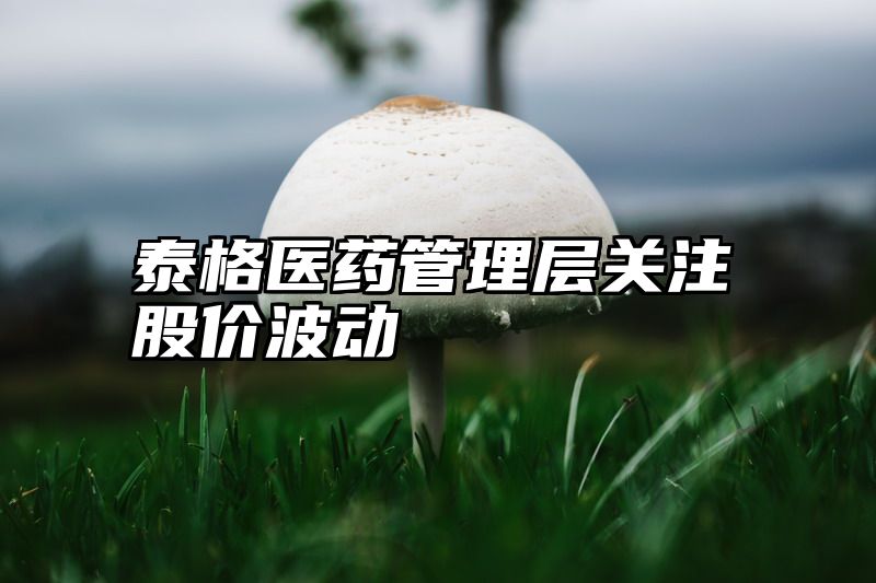 泰格医药管理层关注股价波动