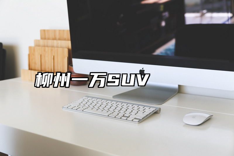 柳州一万SUV