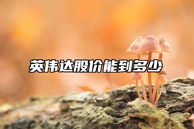 英伟达股价能到多少