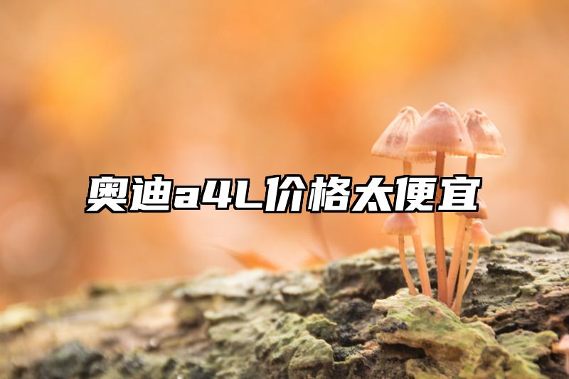 点击查看《奥迪a4L价格太便宜》全文