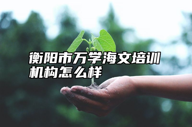 衡阳市万学海文培训机构怎么样
