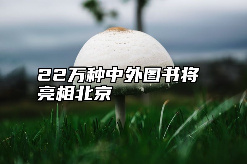 22万种中外图书将亮相北京