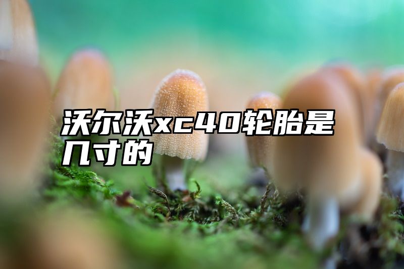 点击查看《沃尔沃xc40轮胎是几寸的》全文