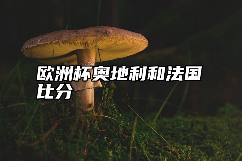 欧洲杯奥地利和法国比分