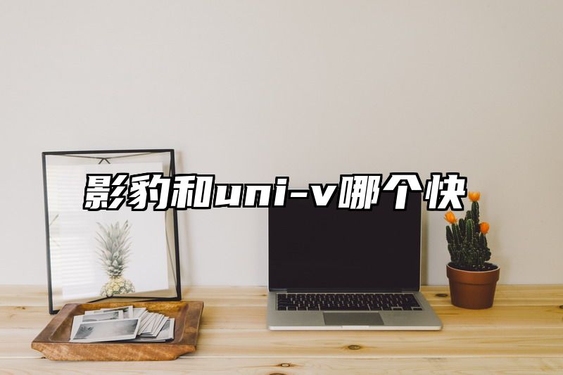 影豹和uni-v哪个快