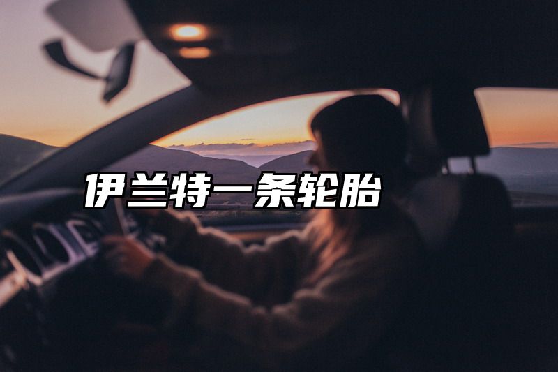 伊兰特一条轮胎