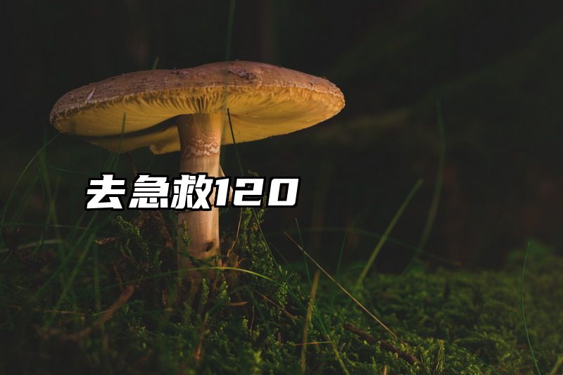 去急救120