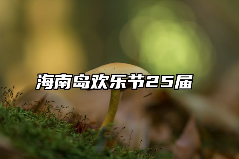 海南岛欢乐节25届