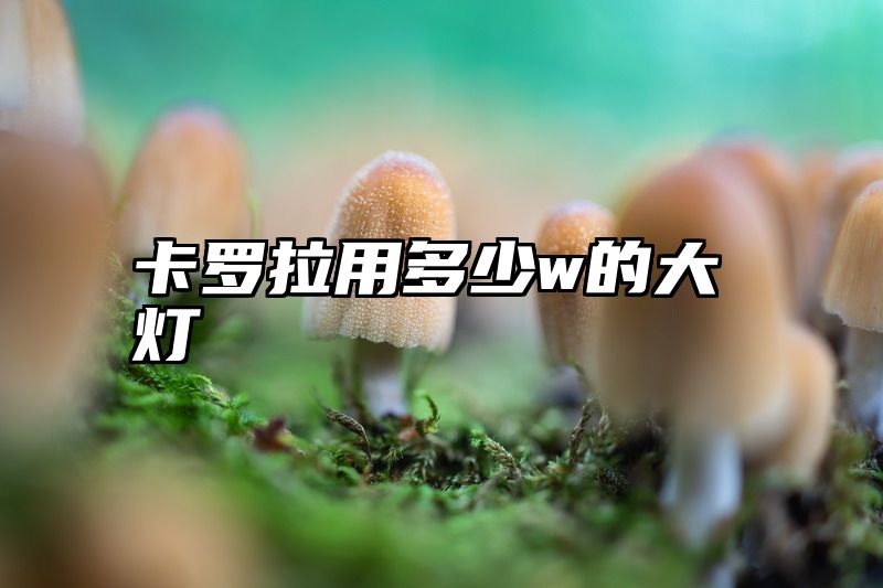 卡罗拉用多少w的大灯