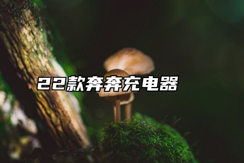 22款奔奔充电器