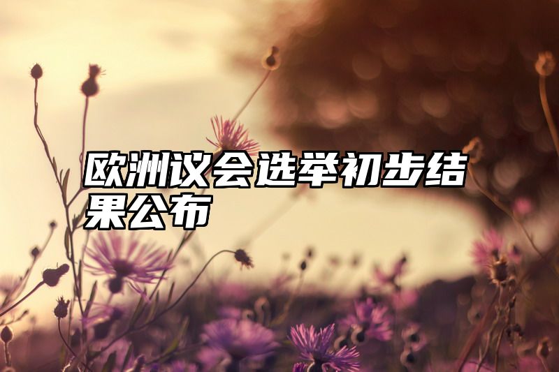欧洲议会选举初步结果公布