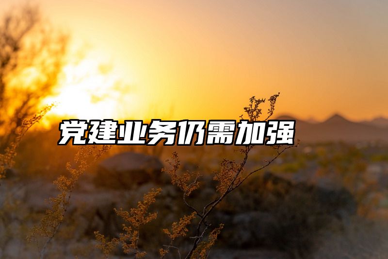 党建业务仍需加强
