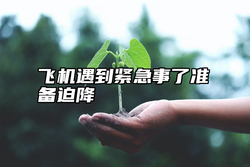飞机遇到紧急事了准备迫降
