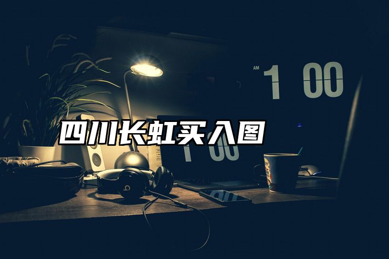 四川长虹买入图