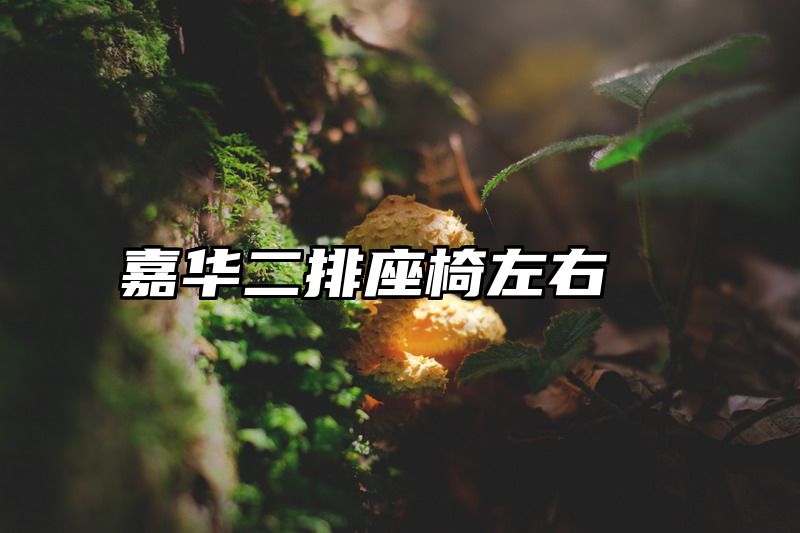 嘉华二排座椅左右