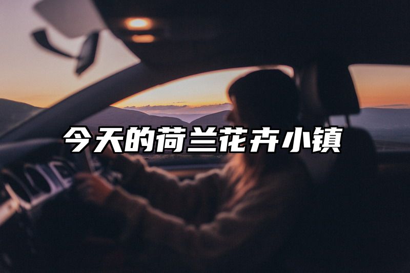 今天的荷兰花卉小镇