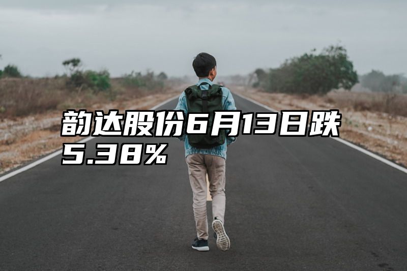 韵达股份6月13日跌5.38%