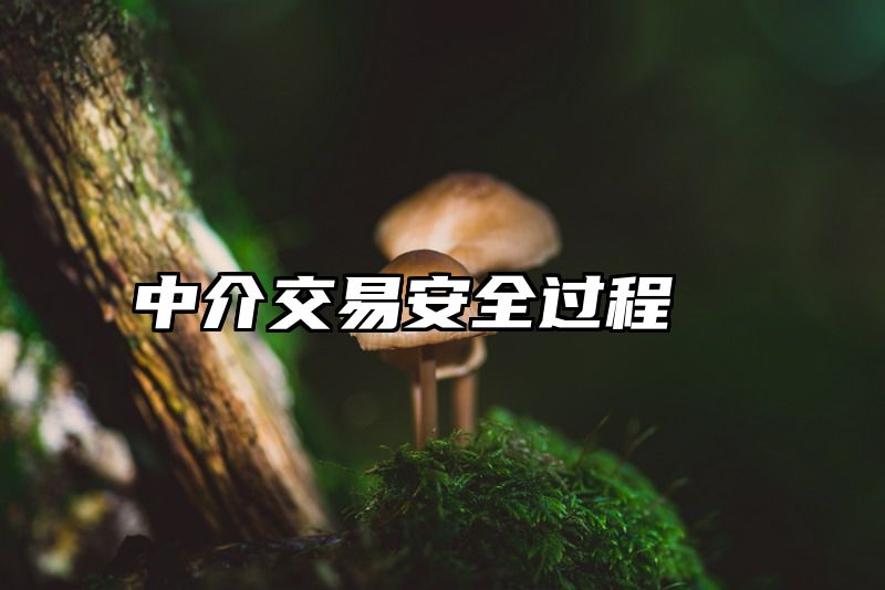 中介交易安全过程