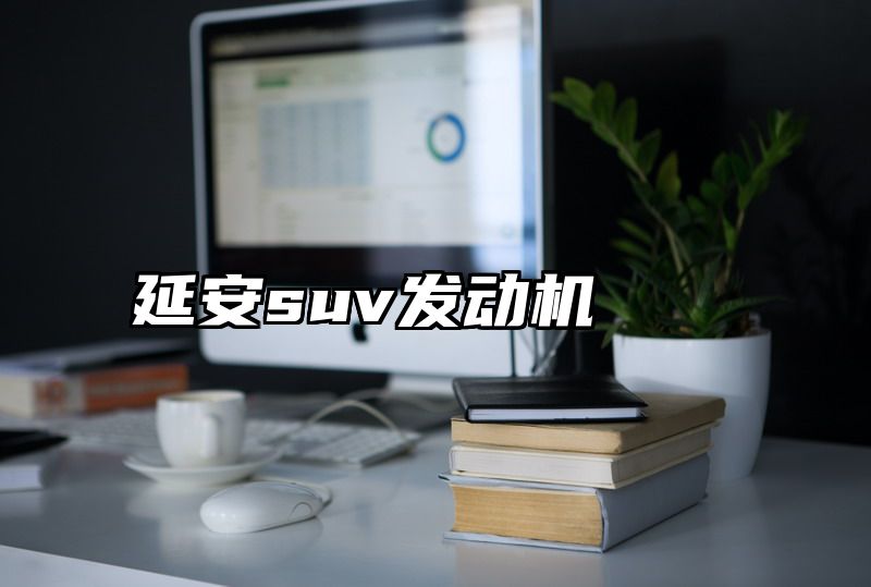 延安suv发动机