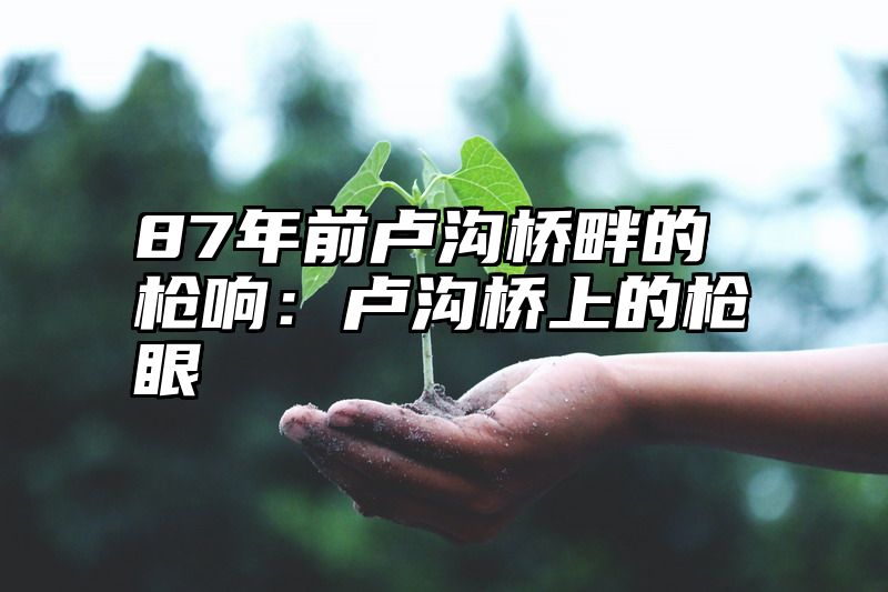 87年前卢沟桥畔的枪响：卢沟桥上的枪眼