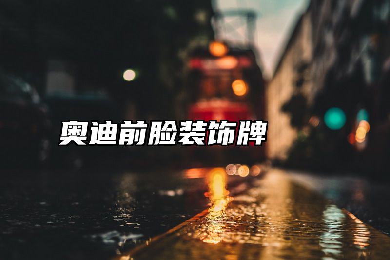 点击查看《奥迪前脸装饰牌》全文