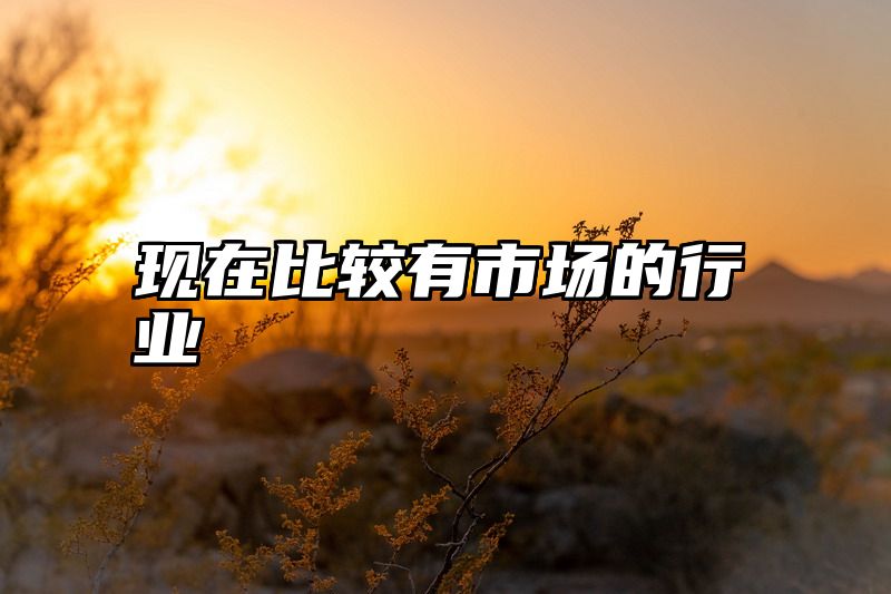 现在比较有市场的行业