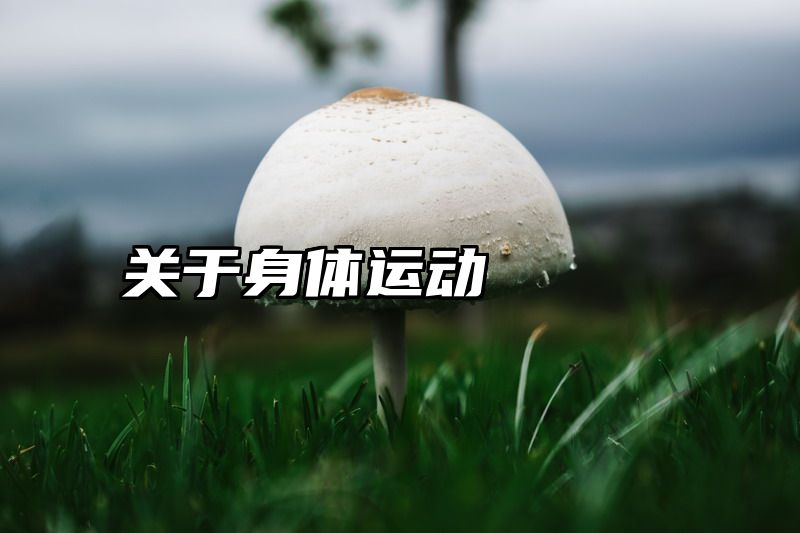 关于身体运动