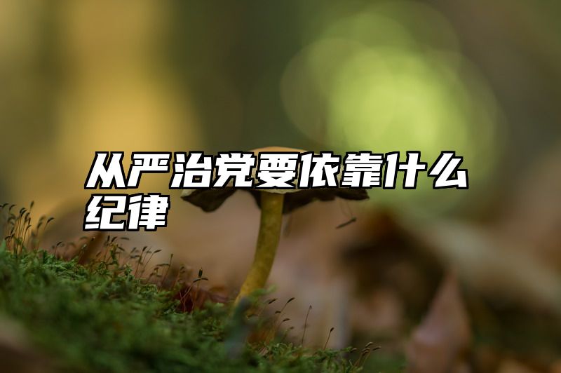 从严治党要依靠什么纪律