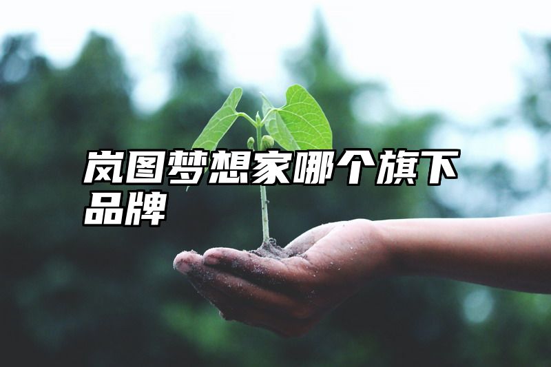 点击查看《岚图梦想家哪个旗下品牌》全文