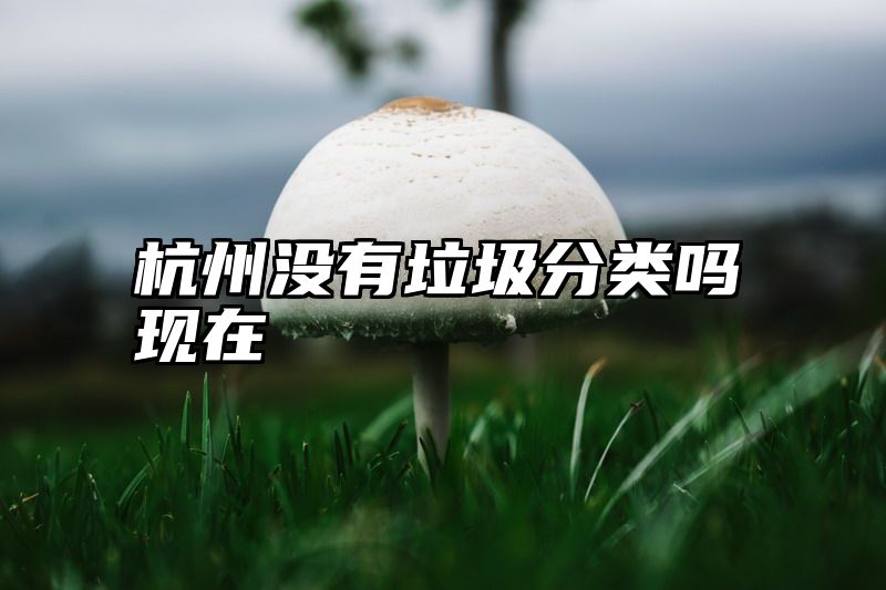 杭州没有垃圾分类吗现在