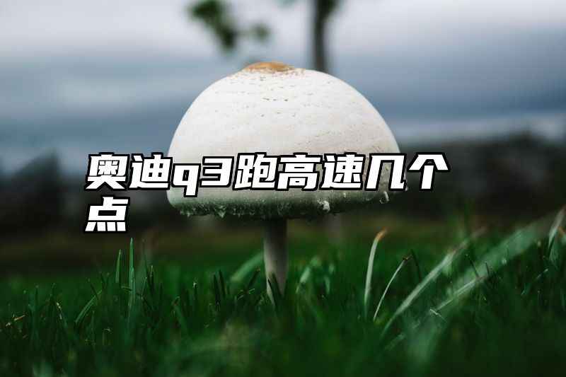 点击查看《奥迪q3跑高速几个点》全文