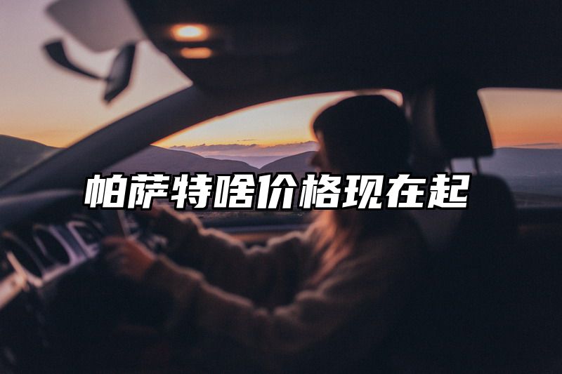 帕萨特啥价格现在起