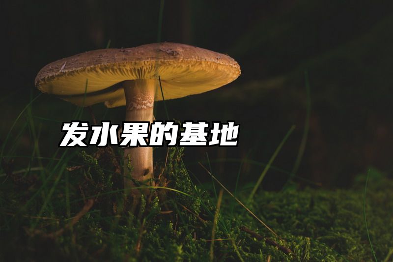 发水果的基地
