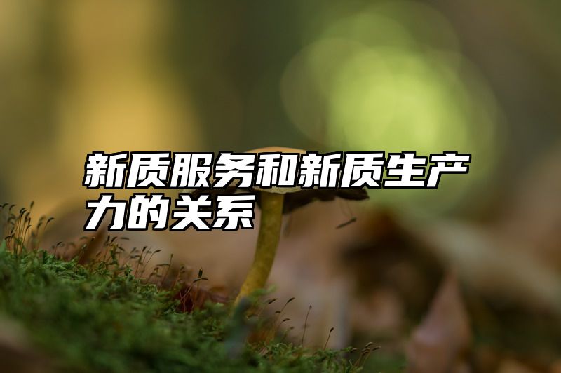 新质服务和新质生产力的关系