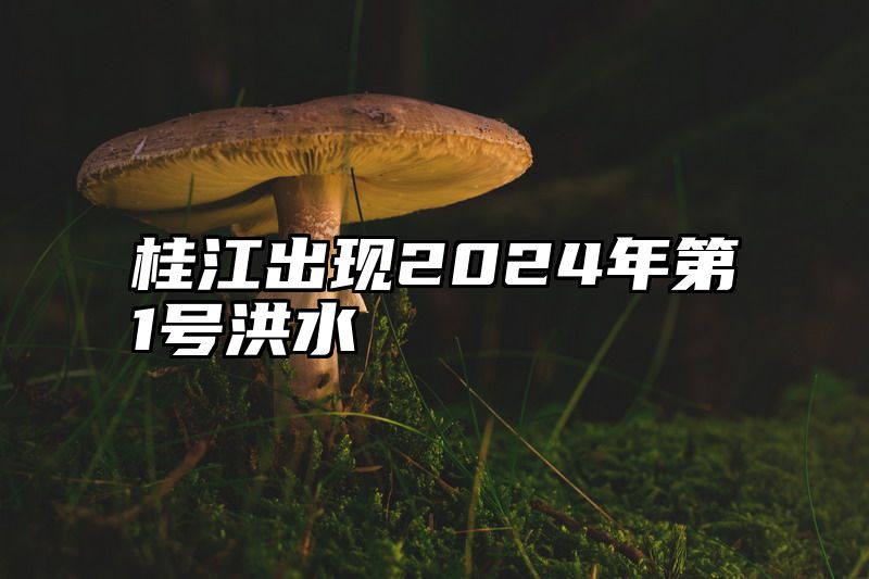 桂江出现2024年第1号洪水