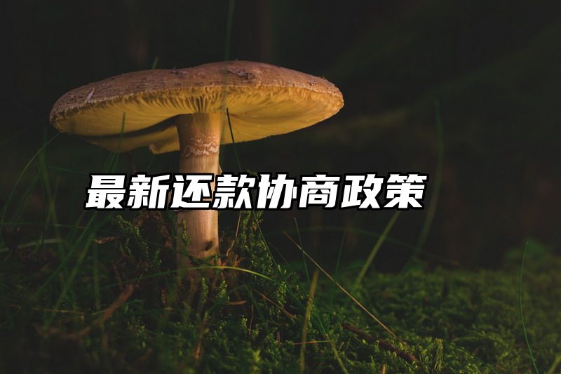 最新还款协商政策